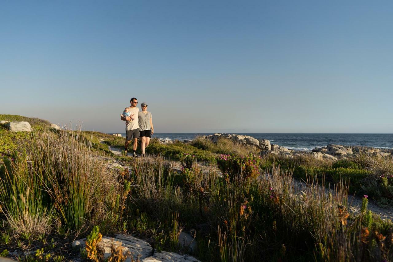 Nothing But View Apartment Hermanus Exterior photo